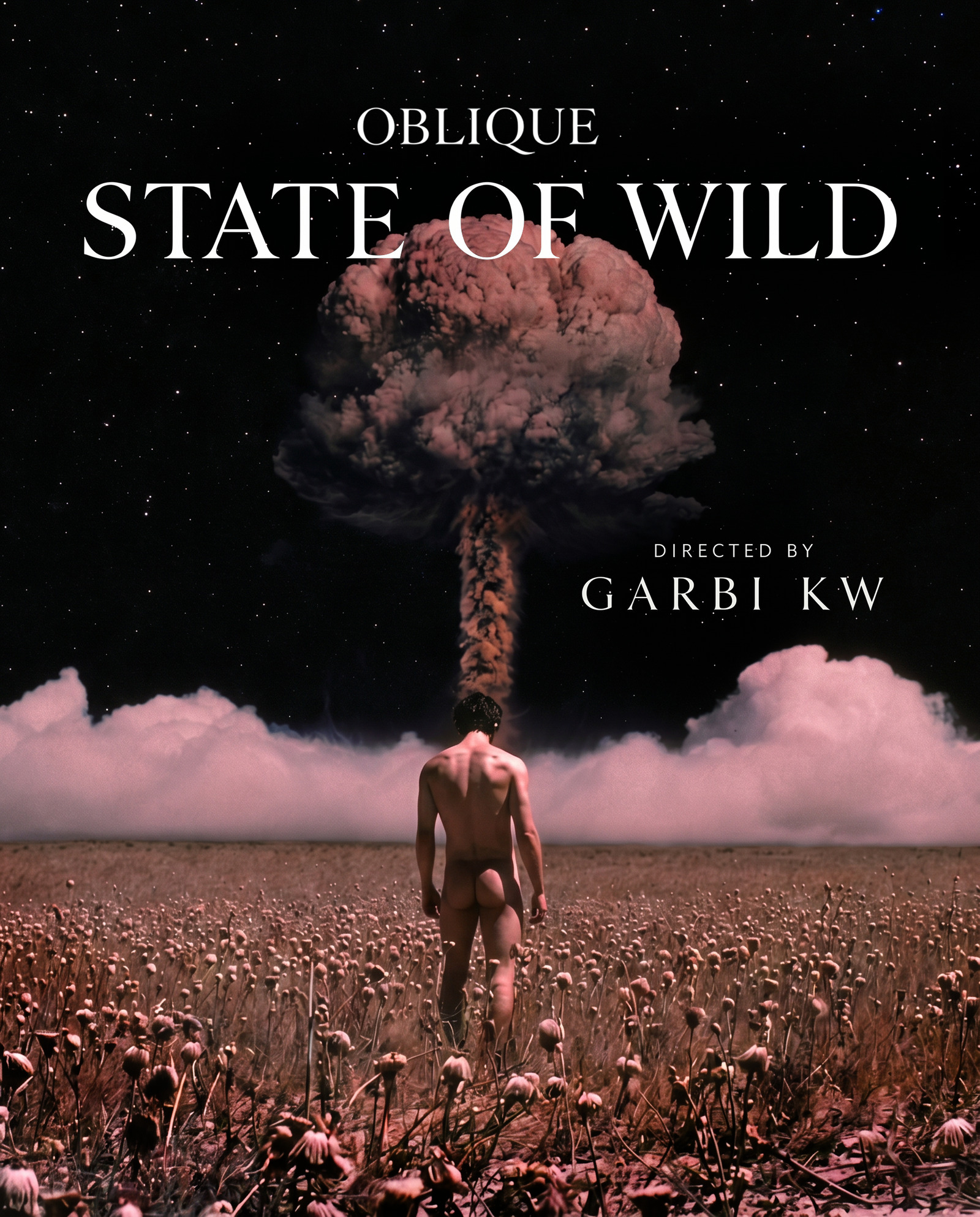 State of Wild, Oblique — Figura de espaldas frente a una explosión rosa. Cartel por Garbi KW.