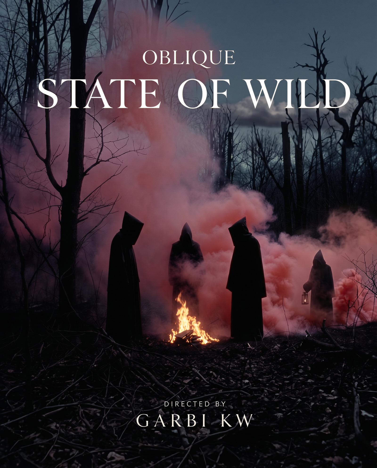 State of Wild, Oblique — Figuras encapuchadas alrededor de un fuego. Cartel por Garbi KW.