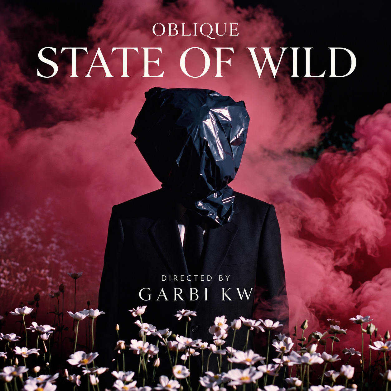 State of Wild — Oblique. Videoclip dirigido por Garbi KW